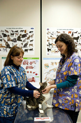 Ambulatorio Veterinario Tiburvet